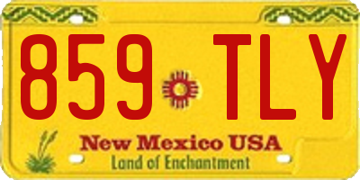 NM license plate 859TLY
