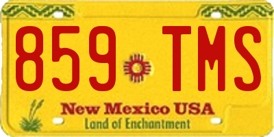 NM license plate 859TMS