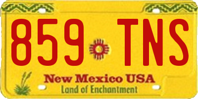 NM license plate 859TNS