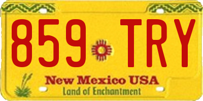 NM license plate 859TRY