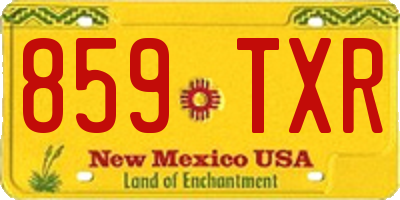 NM license plate 859TXR