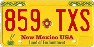 NM license plate 859TXS