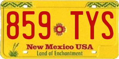 NM license plate 859TYS