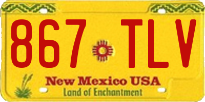 NM license plate 867TLV