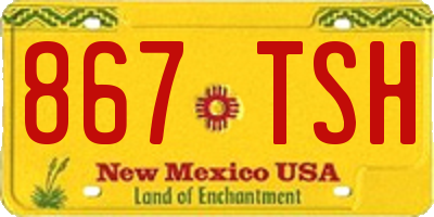 NM license plate 867TSH
