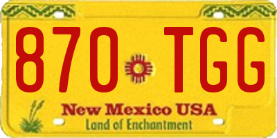 NM license plate 870TGG
