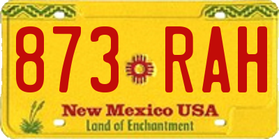 NM license plate 873RAH