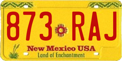 NM license plate 873RAJ