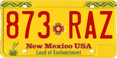 NM license plate 873RAZ