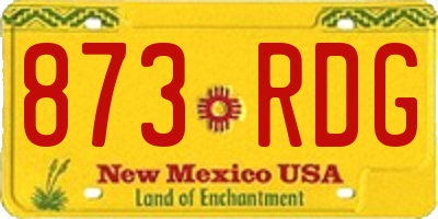 NM license plate 873RDG
