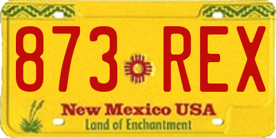 NM license plate 873REX