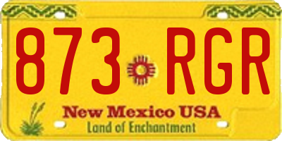 NM license plate 873RGR