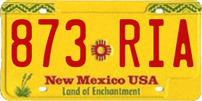 NM license plate 873RIA
