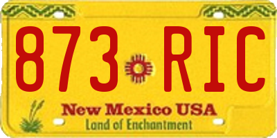 NM license plate 873RIC