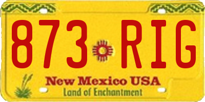 NM license plate 873RIG