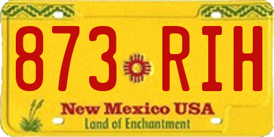 NM license plate 873RIH