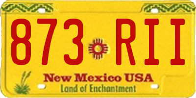 NM license plate 873RII