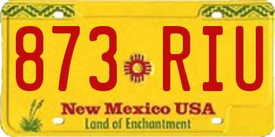 NM license plate 873RIU