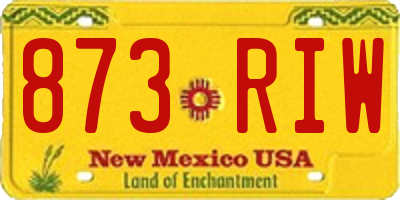 NM license plate 873RIW