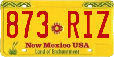 NM license plate 873RIZ