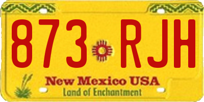 NM license plate 873RJH