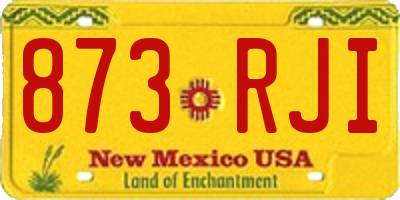 NM license plate 873RJI