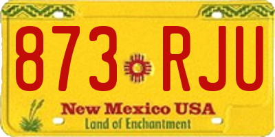 NM license plate 873RJU