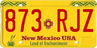 NM license plate 873RJZ