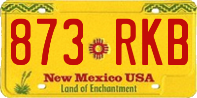 NM license plate 873RKB