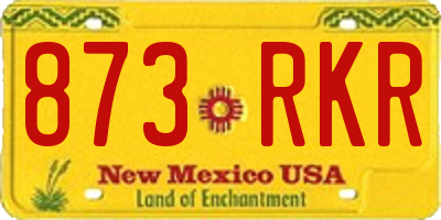 NM license plate 873RKR