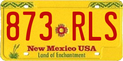 NM license plate 873RLS