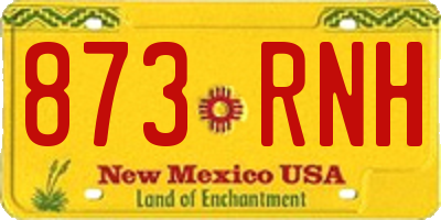NM license plate 873RNH