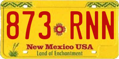 NM license plate 873RNN