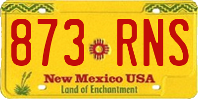 NM license plate 873RNS