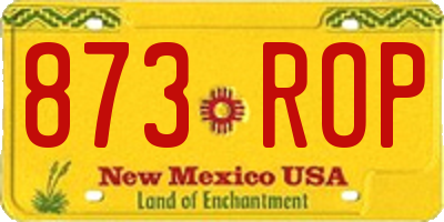 NM license plate 873ROP