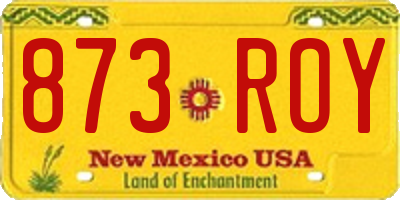 NM license plate 873ROY