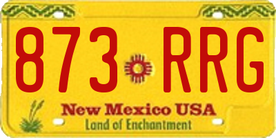 NM license plate 873RRG