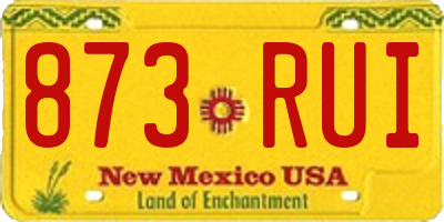 NM license plate 873RUI