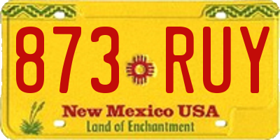 NM license plate 873RUY
