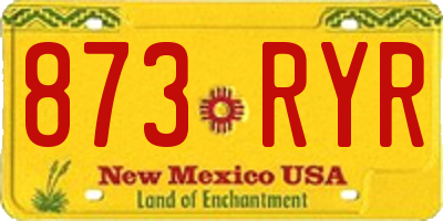 NM license plate 873RYR