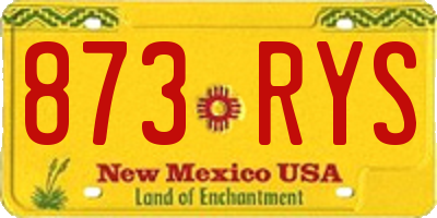 NM license plate 873RYS