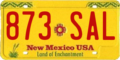 NM license plate 873SAL
