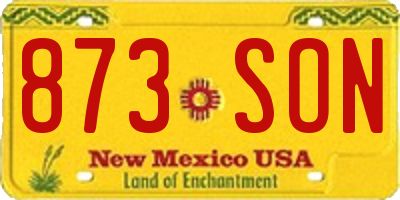 NM license plate 873SON