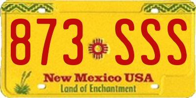 NM license plate 873SSS