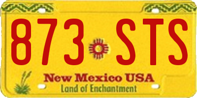 NM license plate 873STS