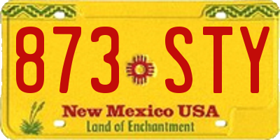 NM license plate 873STY