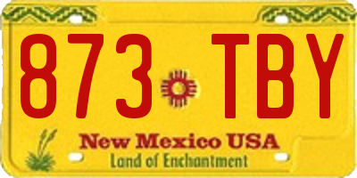 NM license plate 873TBY