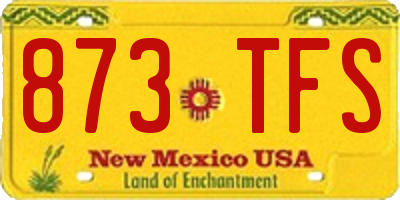 NM license plate 873TFS