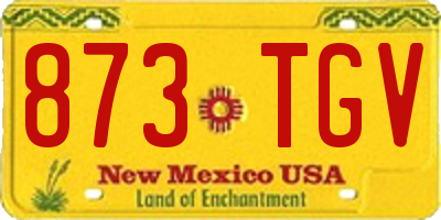 NM license plate 873TGV