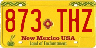NM license plate 873THZ